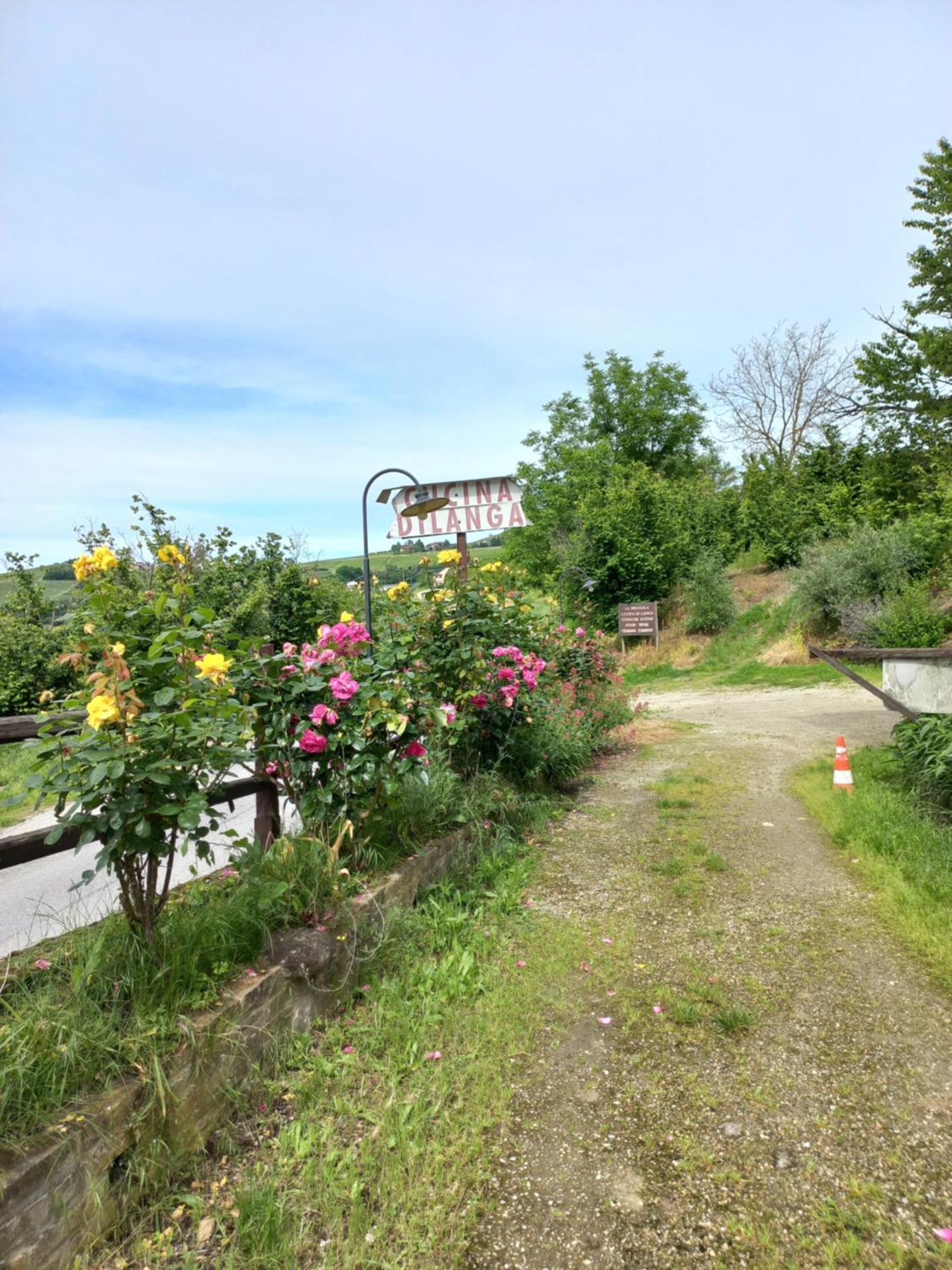 Villa La Briccola Diano dʼAlba Esterno foto